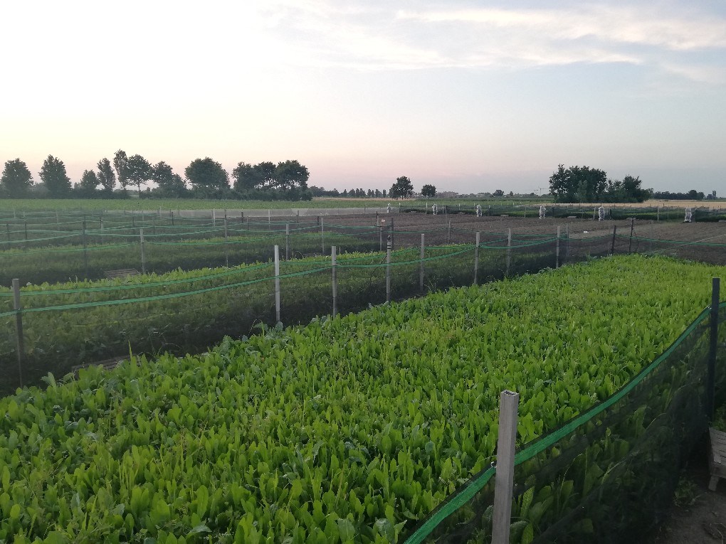 primaluna allevamento prodotti 2